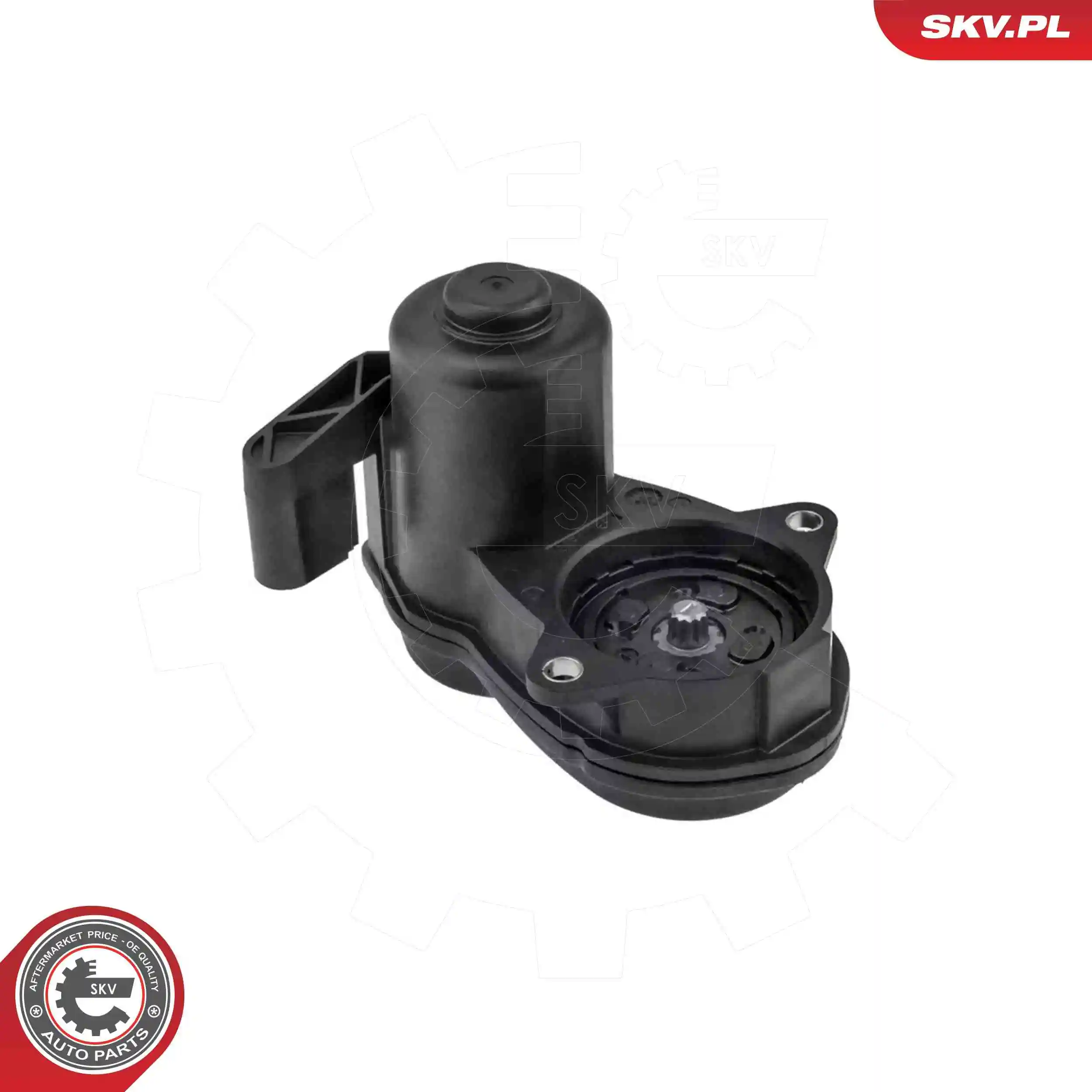 Control Element, parking brake caliper
